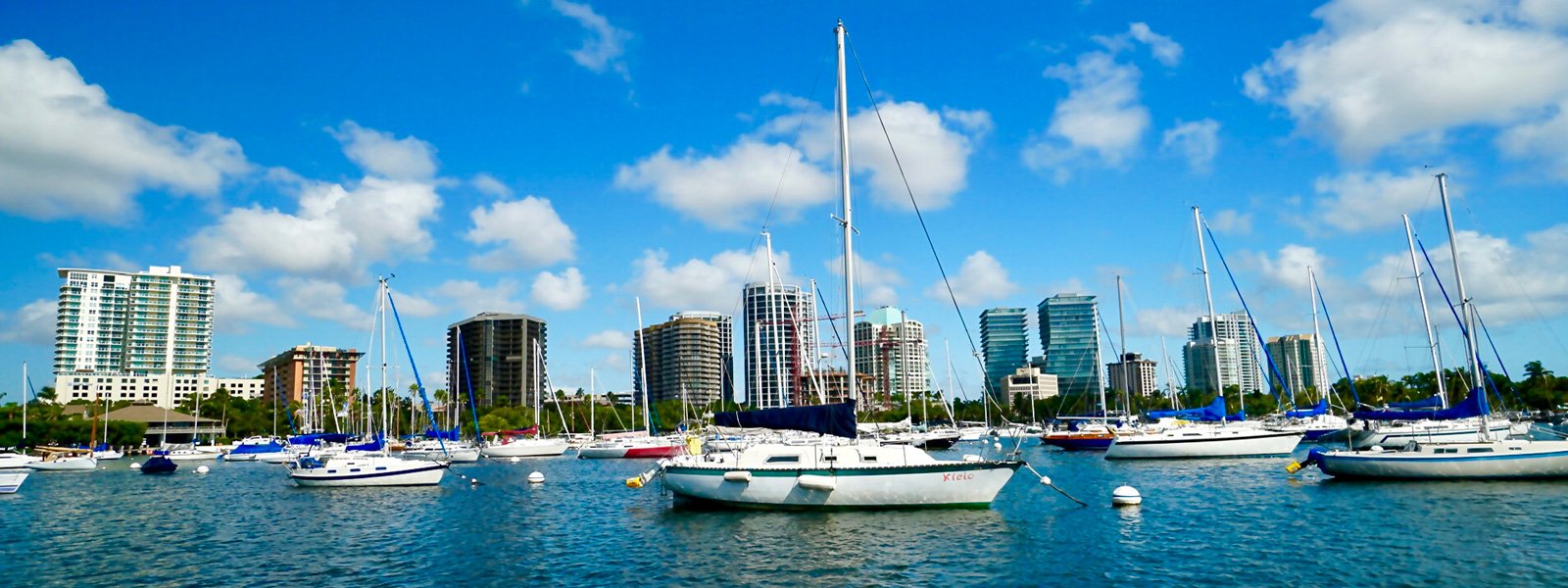 Coconut Grove Arts Festival — Miami's Presidents Day Weekend Art Walk