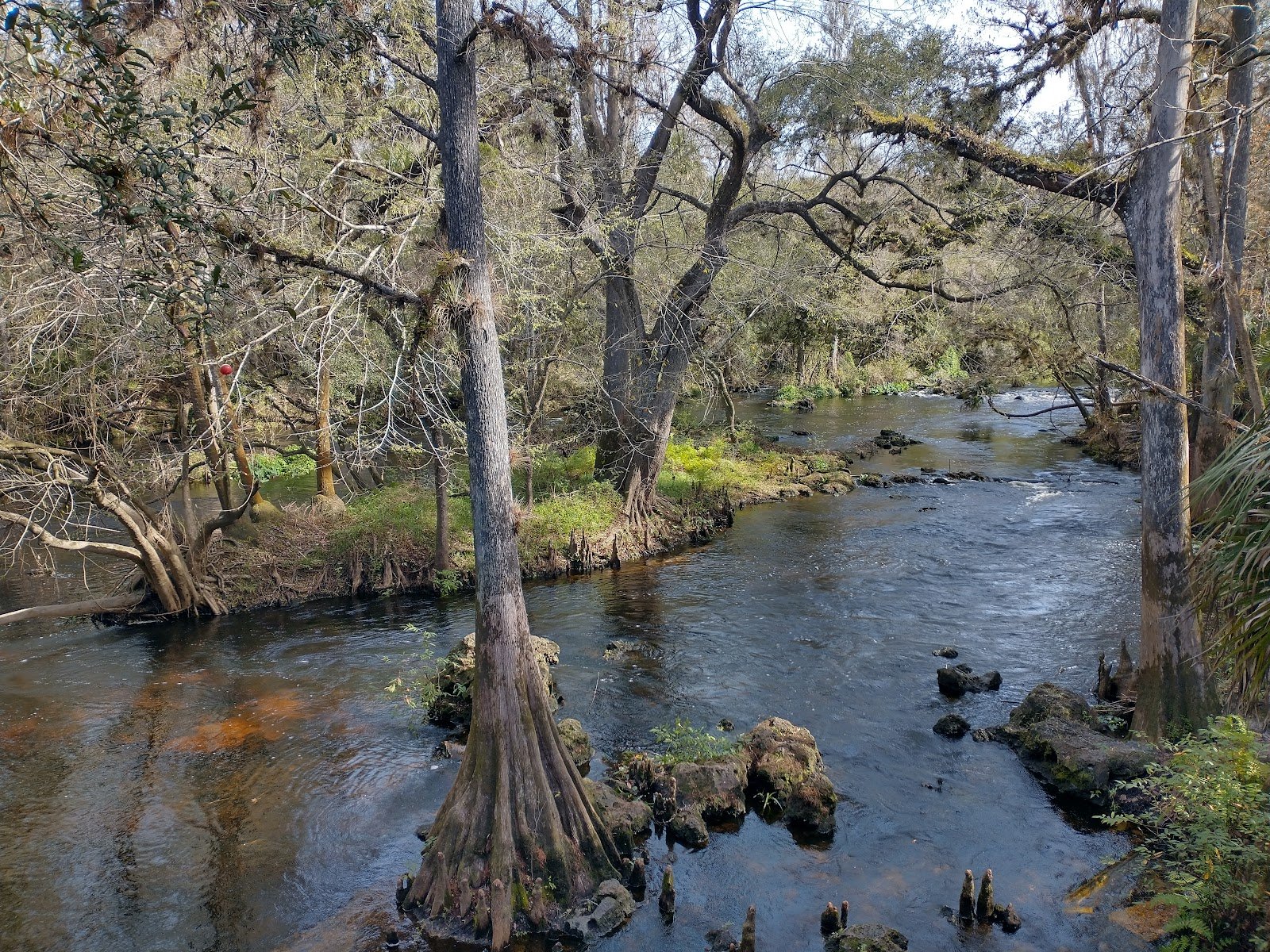 Florida's Best State Parks for First-Timers