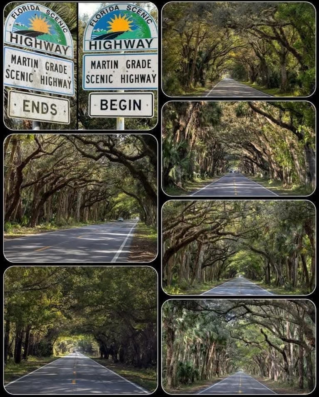 Best Florida Day Trips by Car — Within 90 Minutes of Tampa, Orlando, and Miami