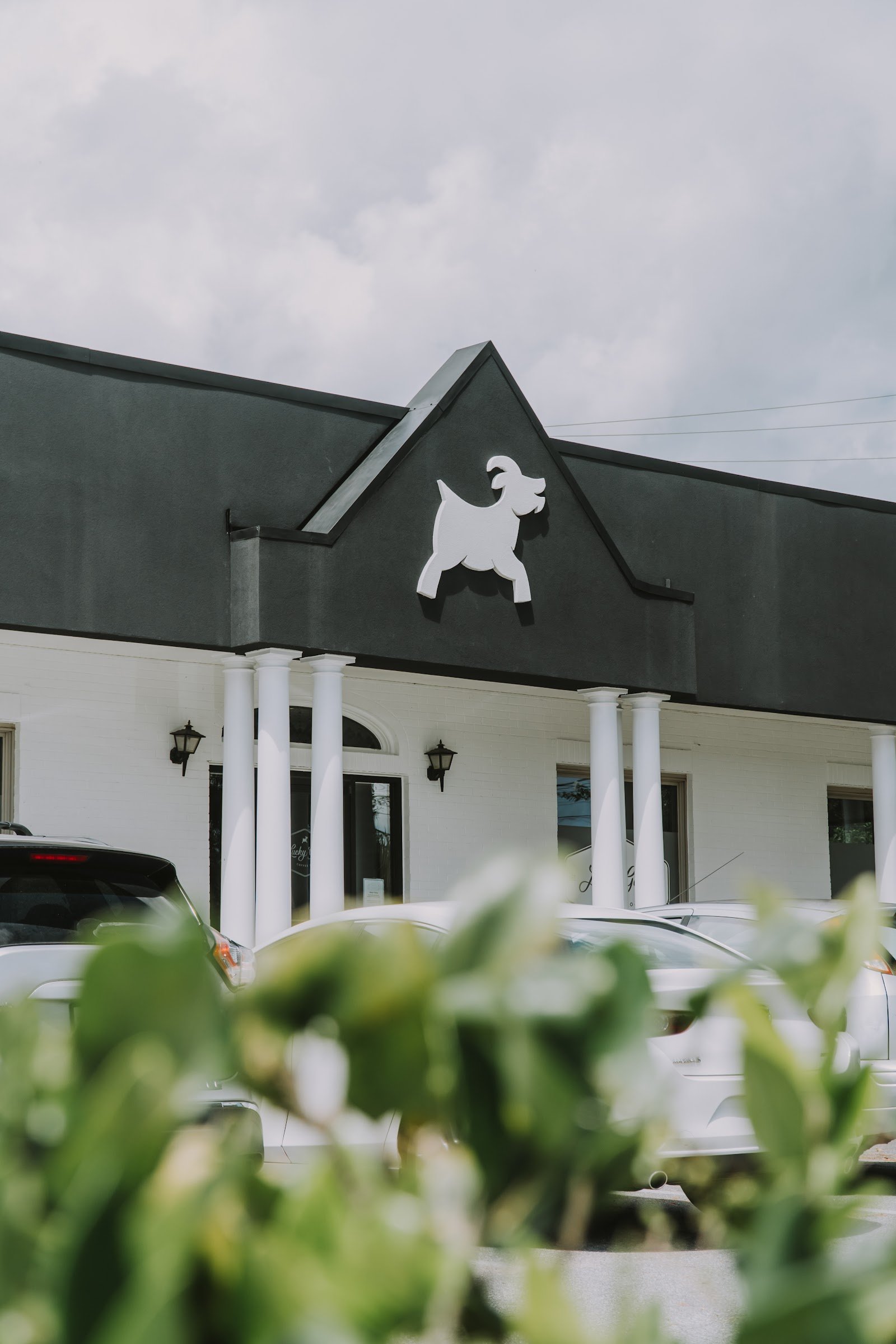 Lucky Goat Coffee