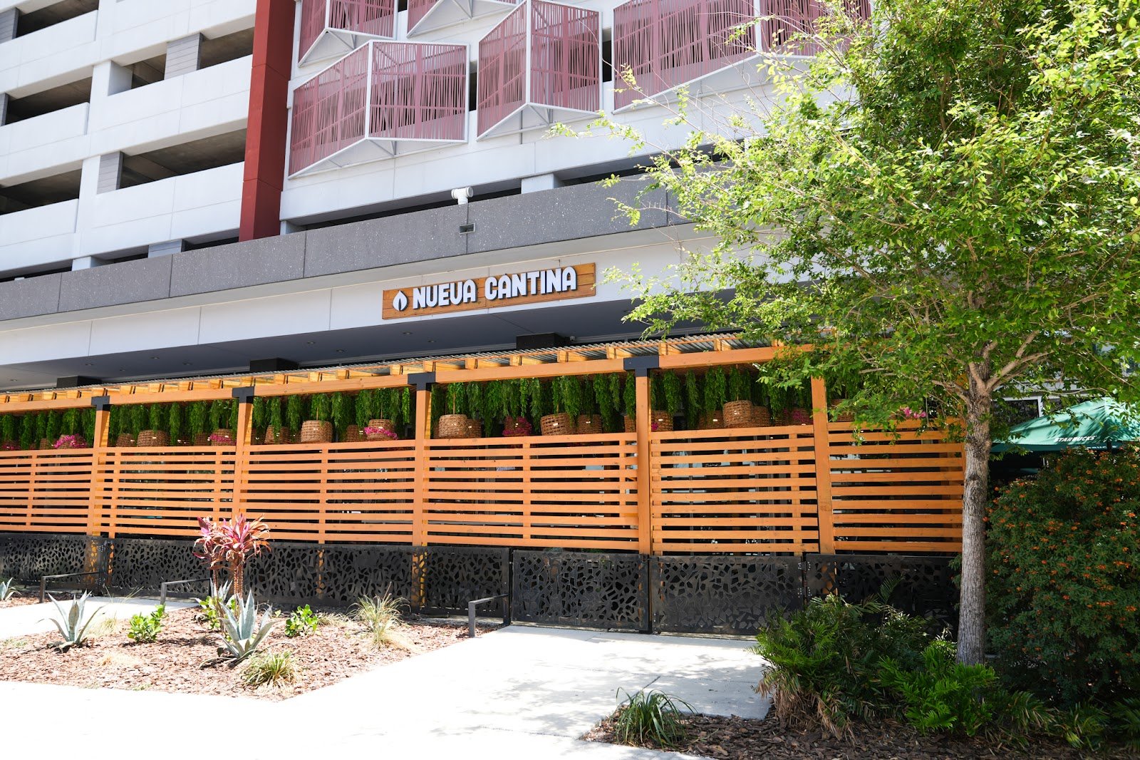 Nueva Cantina - Downtown Tampa