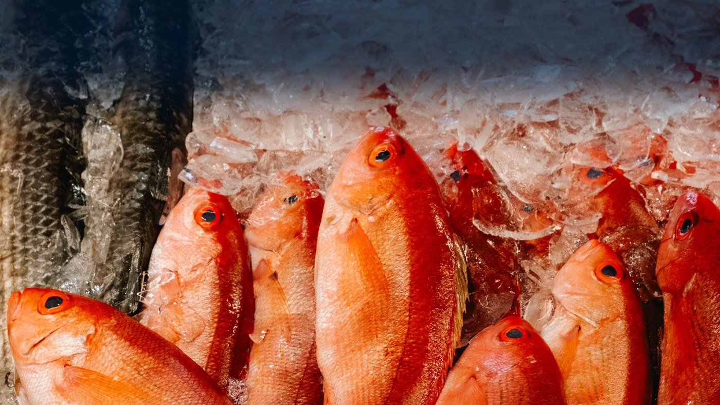 Safe Harbor Seafood Market & Restaurant