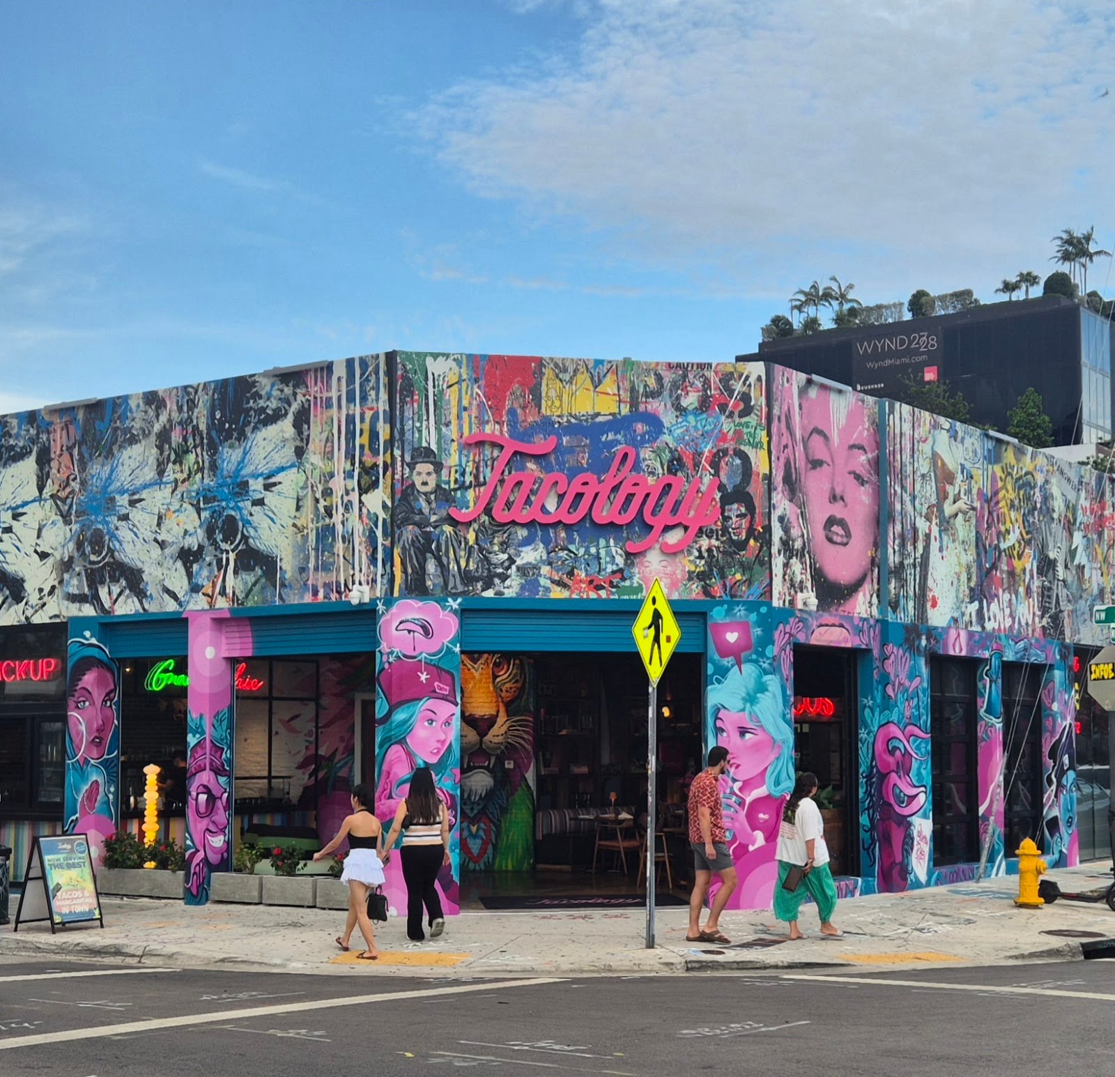 Sr de Los Tacos Wynwood
