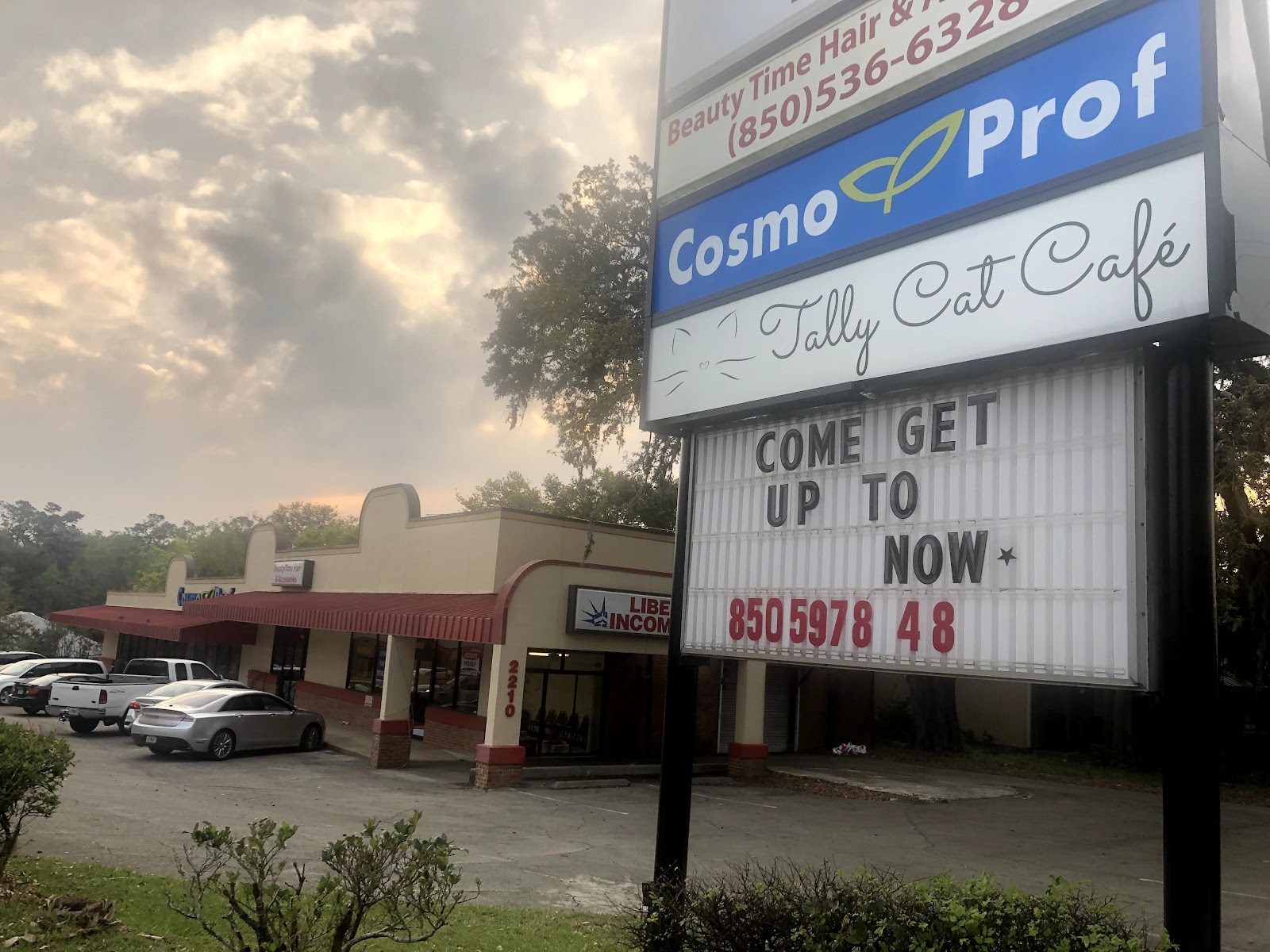 Tally Cat Cafe