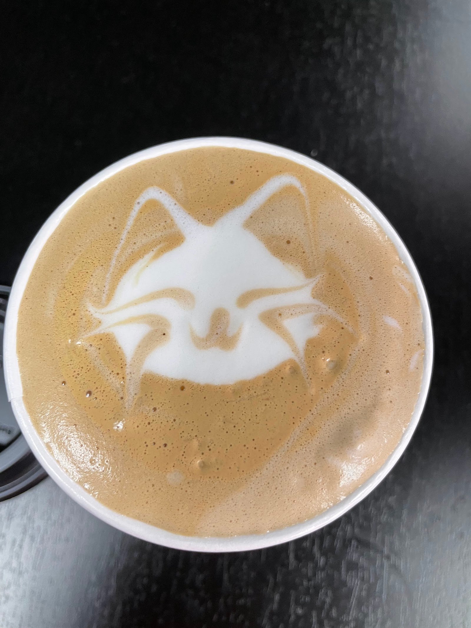 Tally Cat Cafe