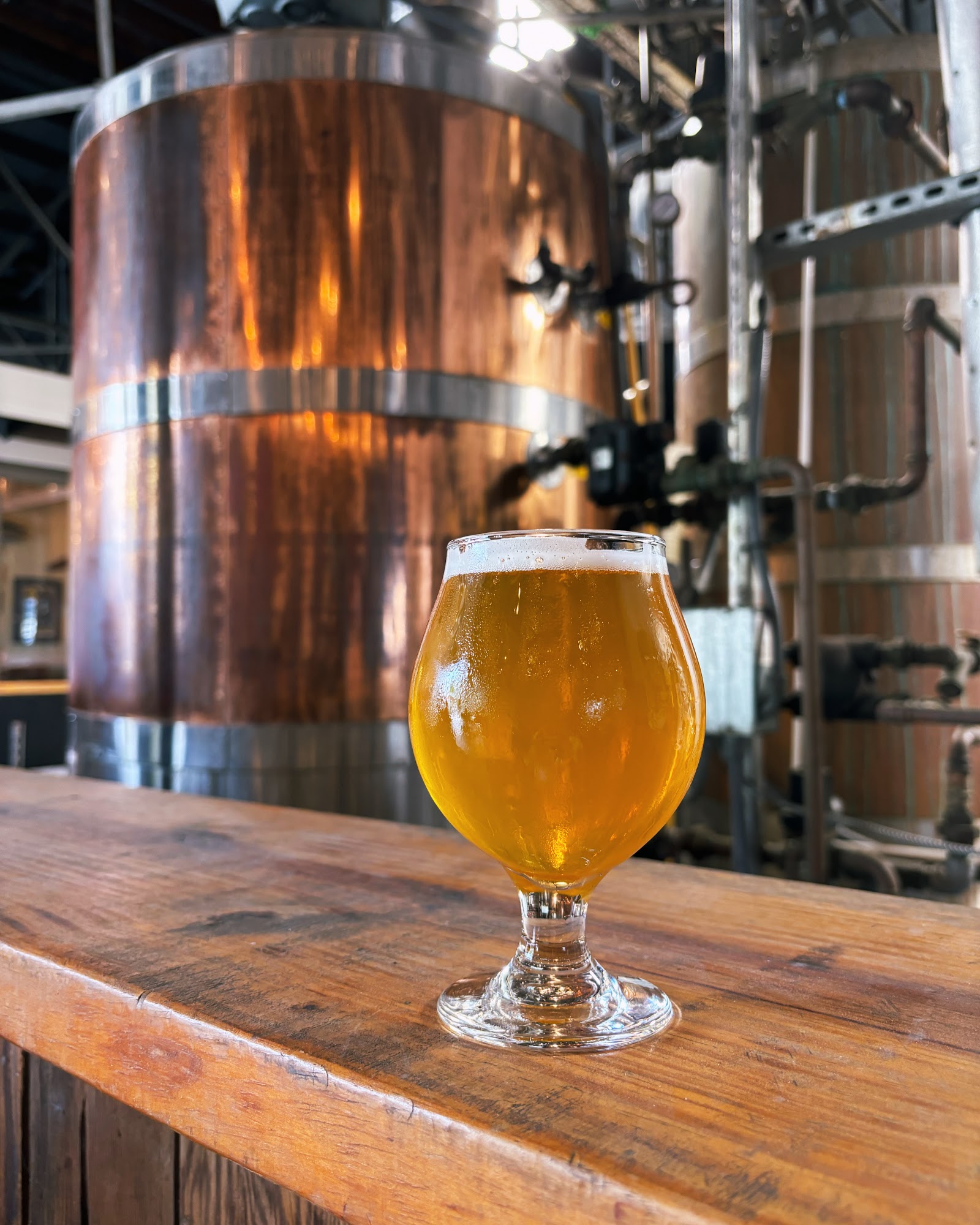 Tarpon River Brewing