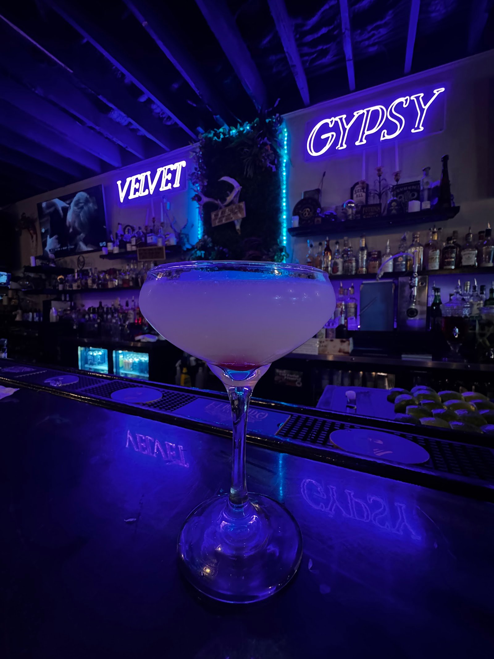 Velvet Gypsy